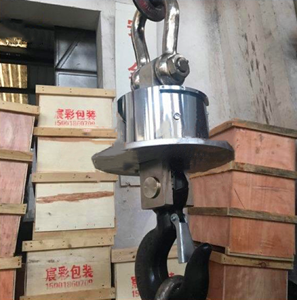3噸無(wú)線耐高溫吊秤