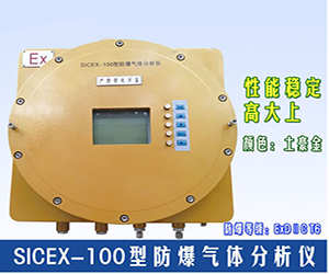 SICEX-100防爆型在線氣體分析儀（H2、CO、O2）