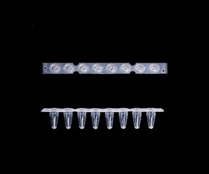 0.2ml八聯(lián)排PCR管，光學(xué)平蓋，透明，科進(jìn)/KIRGEN