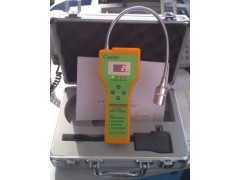 CA-2100H天然氣檢測儀，便攜式可燃?xì)怏w探測器