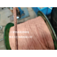 DJYVP、DJYPVP儀表信號計算機電纜生產(chǎn)廠家 天行品牌 生產(chǎn)定制