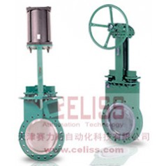 L&M Valve閥門美國(guó)