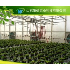 雙軌懸掛噴灌機價優(yōu)，雙軌懸掛噴灌機價格