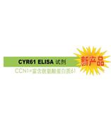 CYR61 是診斷 / 判斷乳腺癌惡化的腫瘤標(biāo)志物。