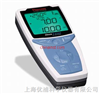 精密型便攜式溶解氧DO測(cè)量?jī)x