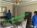 專業(yè)快速除甲醛除味公司，上海新裝修快速除甲醛公司，上海綠代環(huán)保lvdai-2280