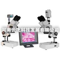 供應(yīng)云飛XTZ解剖鏡及成像設(shè)備，解剖鏡及成像設(shè)備廠家